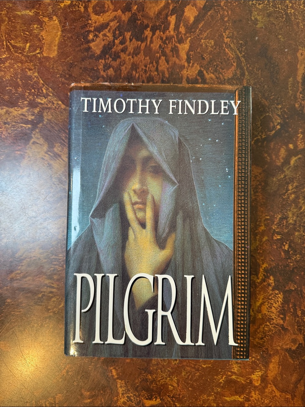 Pilgrim by Timothy Findley Hardcover w/ DJ Excellent Condition Suspense Novel